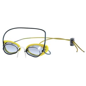 Óculos de Natação Speedo Speed